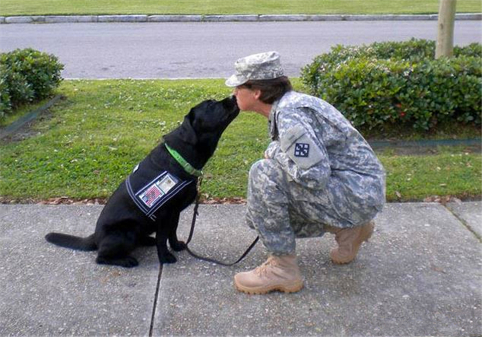 狗狗亲主人脸是什么意思,爱犬和狗接吻的危害