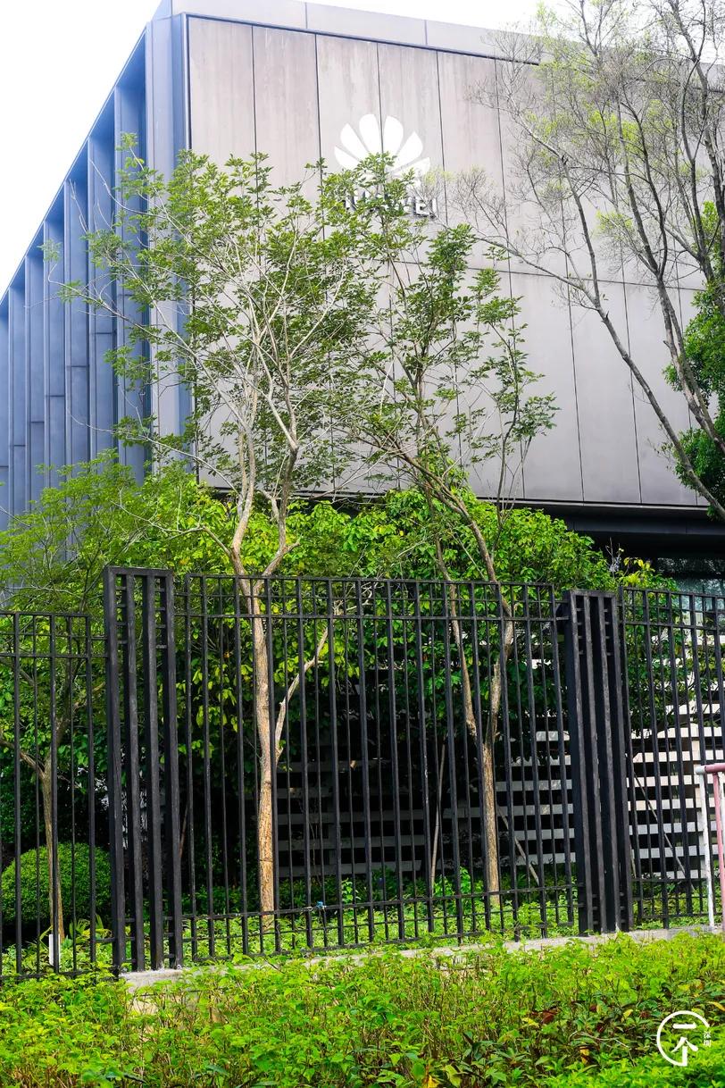 遍地华为男，深圳坂田有多绝？