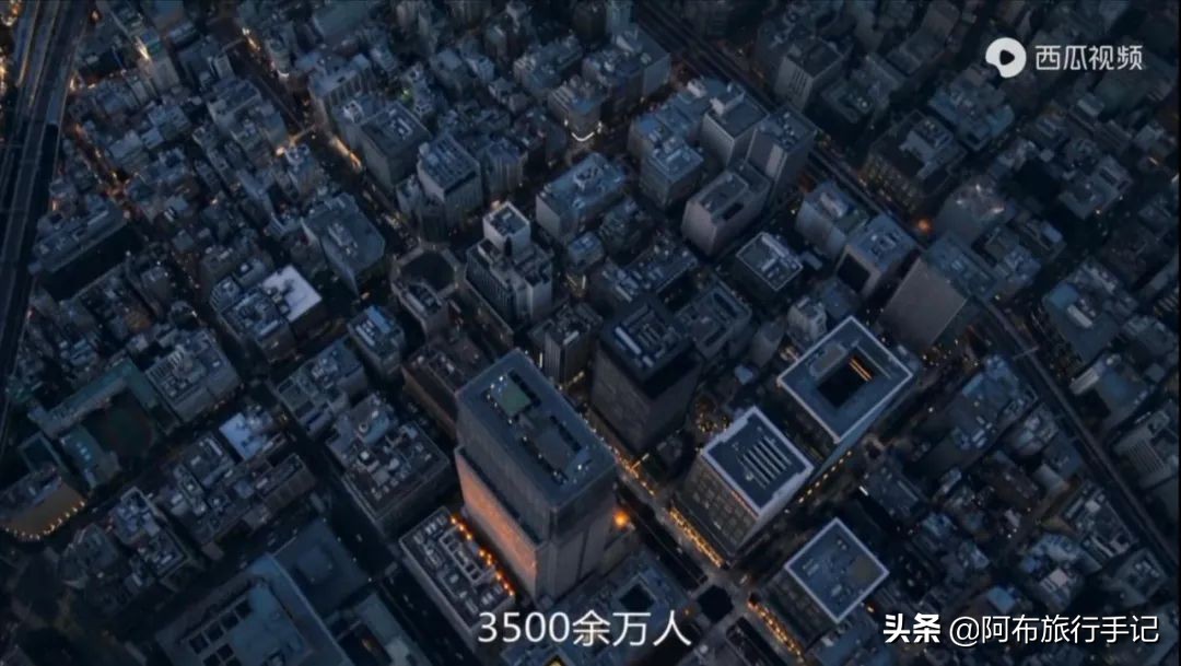 豆瓣9.1分看哭百万人,豆瓣评分9.0却很少有人看懂