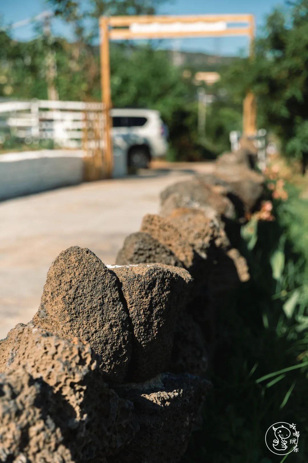 收藏!刷爆小红书的深圳济州岛绵羊牧场咖啡厅,256G都不够拍