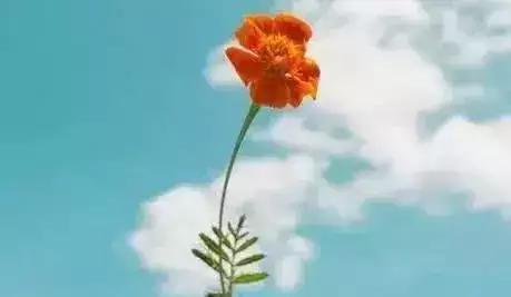 雨后天晴的优美散文,雨过天晴经典散文