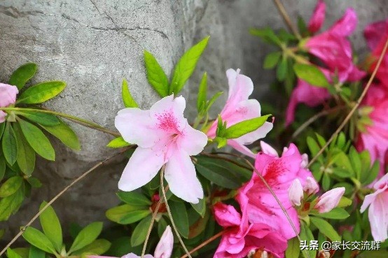 江南大学----一所可能“不适宜”学习的高校