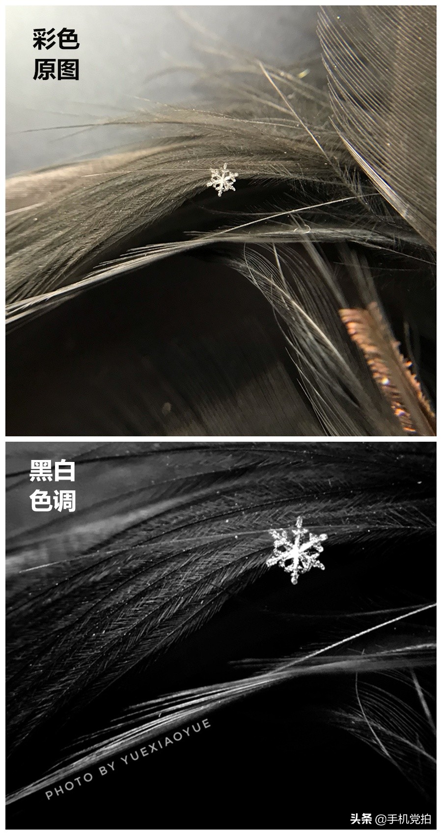 手机拍摄雪花的正确方法,手机拍雪花微距