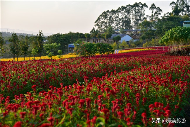 花都区美林湖度假区,花都美林湖风景