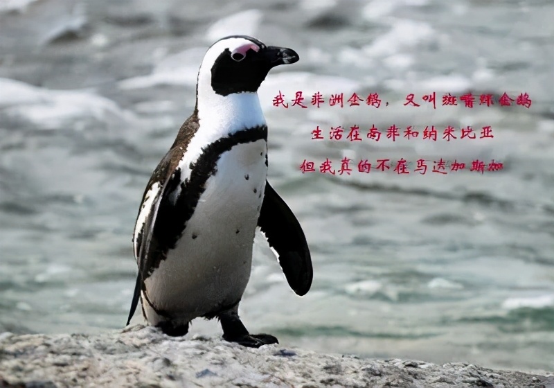 南方冬天最冷的省份,冬天最冷的南方省份