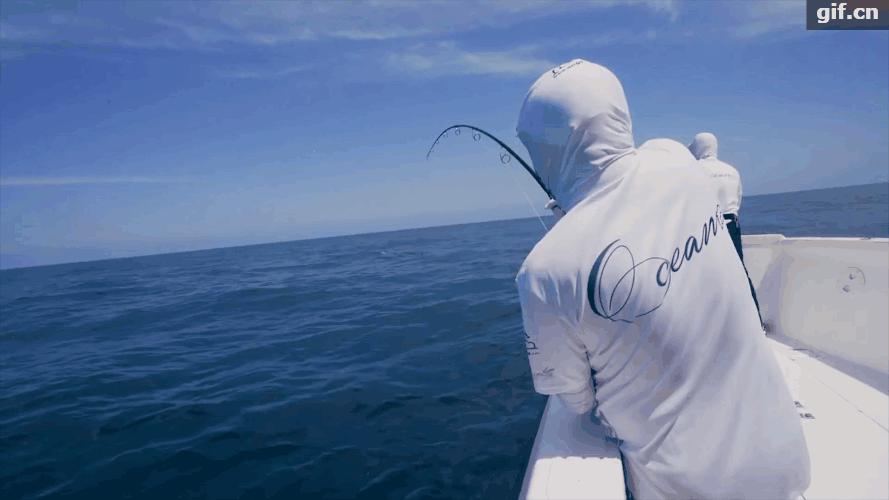 达亿瓦4.5米鱼竿推荐购买排行,4.2米达亿瓦综合鱼竿推荐