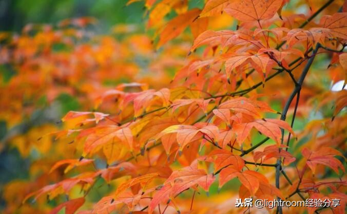 色彩性格解读体会,色彩是怎么表达情感的