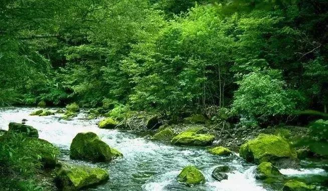 人生必经的4个经历,人生感悟经典好文