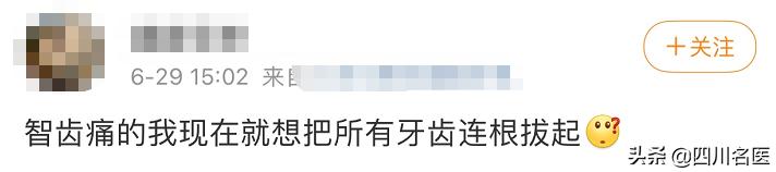 智齿一次拔几颗比较好,智齿到底要不要拔掉一个视频