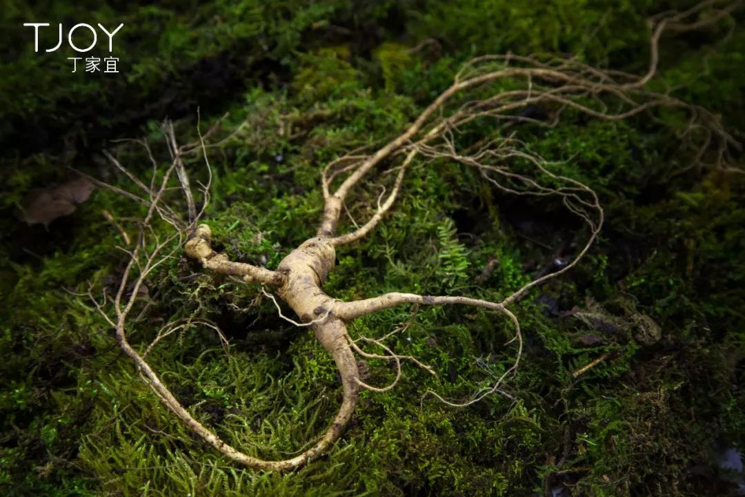 雪花秀人参水乳韩国本土,雪花秀有人参的护肤品好用吗