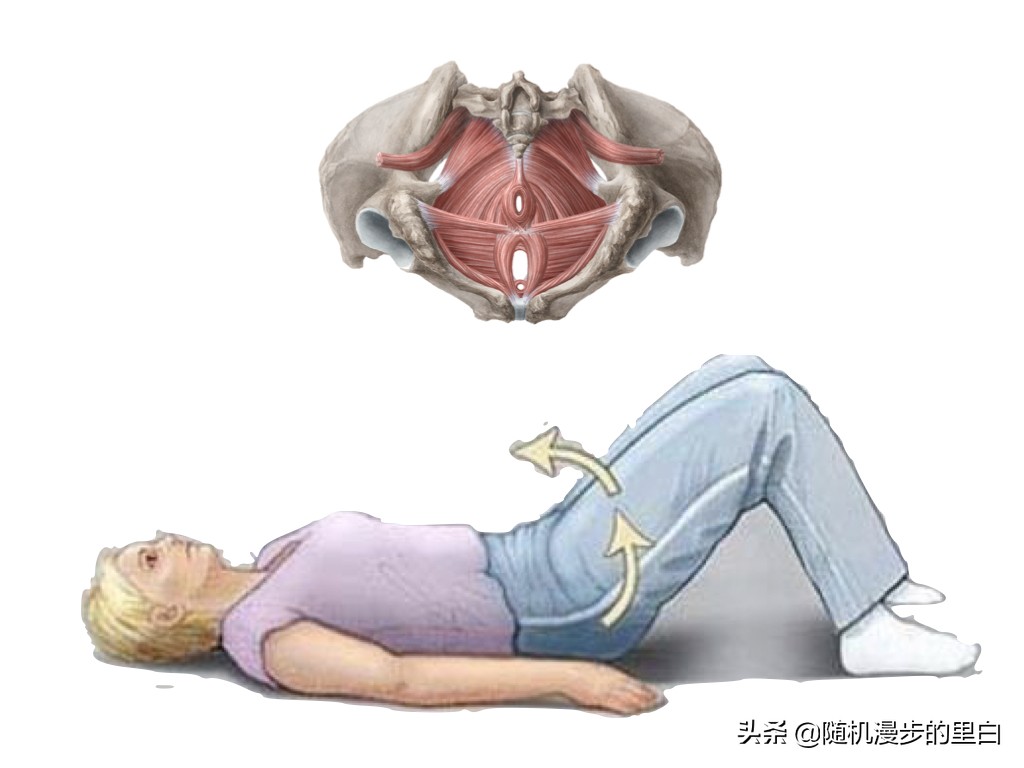 游泳腰痛应该停止游泳吗,游泳腰疼