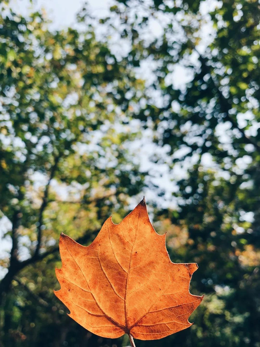 iphone13相机怎么调拍照最好,iphone12pro相机设置