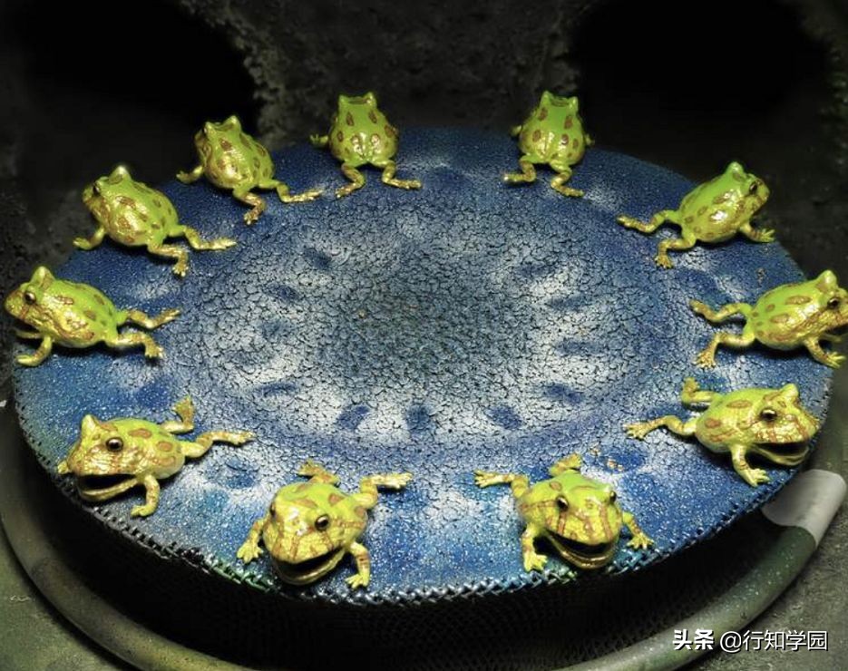 青蛙耳夹,卡通青蛙公仔耳夹