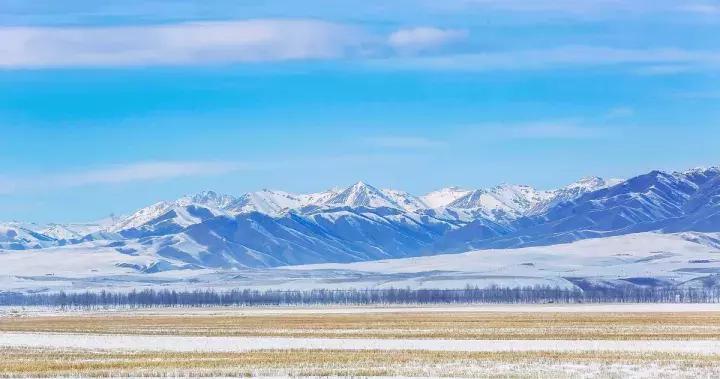 冬天的阿勒泰冰雪,冬天的雪冰雪奇缘