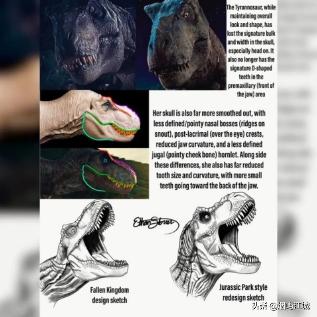 暴龙的形态,暴龙的不同形态