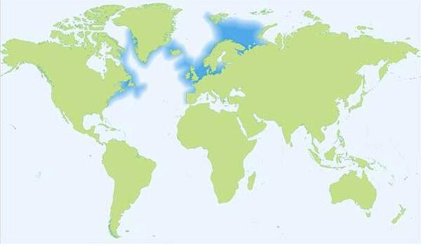 视界网带你深度解析,视界网知识大全