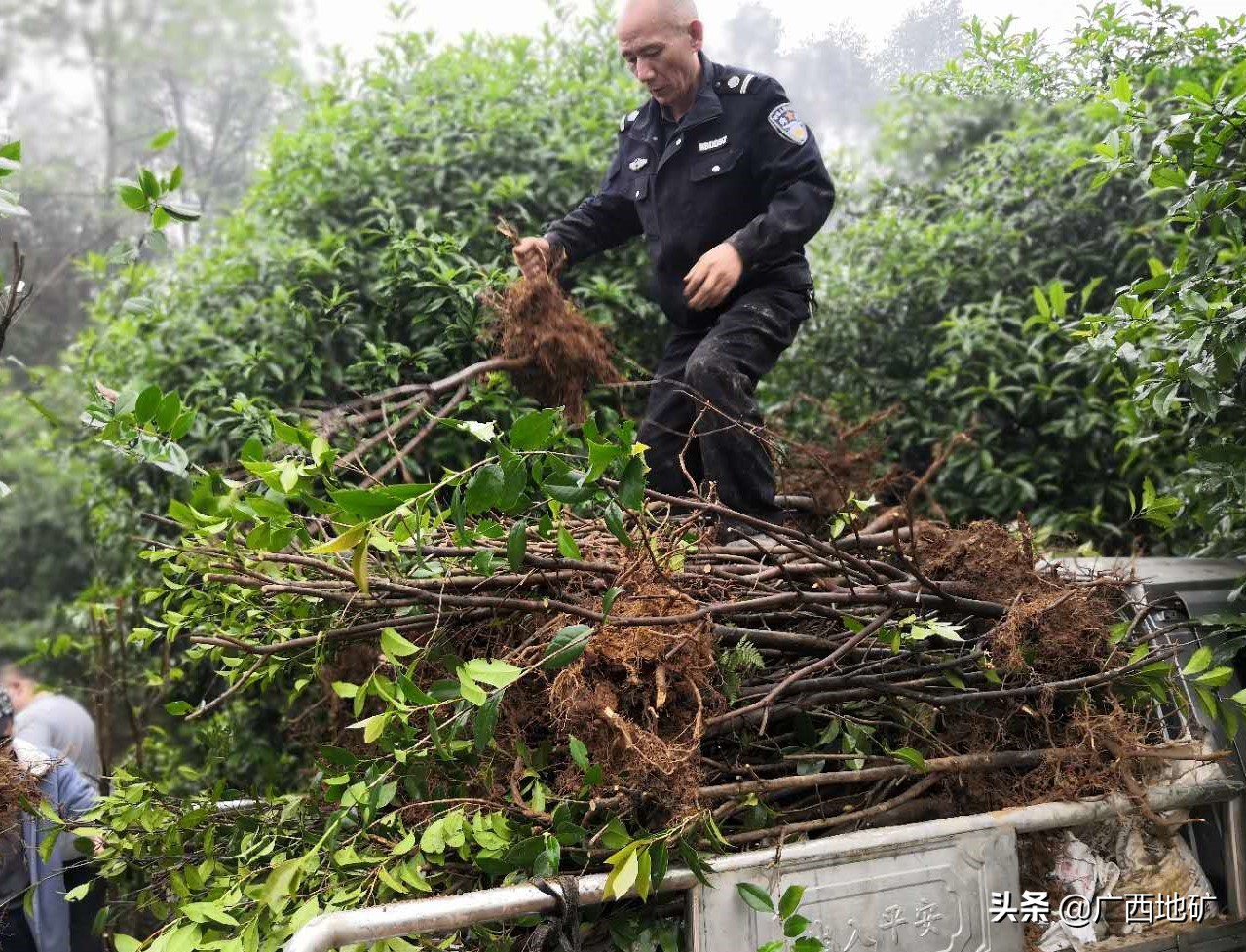桂林市灵川县这名保安大叔火了，除夕夜在化粪池徒手疏通管道，50多岁的他曾经当过地质队员