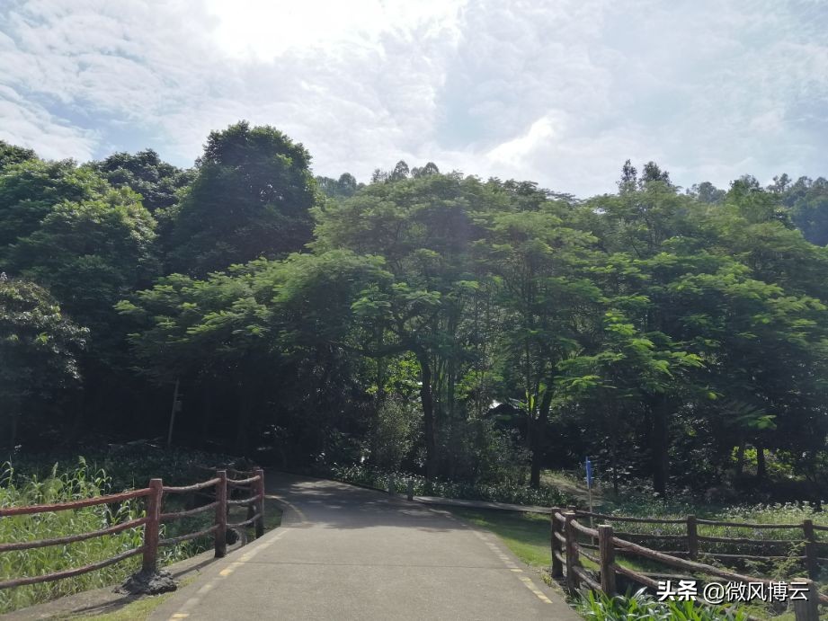 深圳凤凰山公园一日游攻略,五一深圳凤凰山森林公园打卡攻略