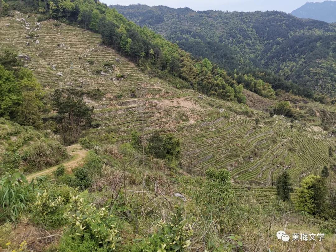 黄冈黄梅山区,黄梅县大山