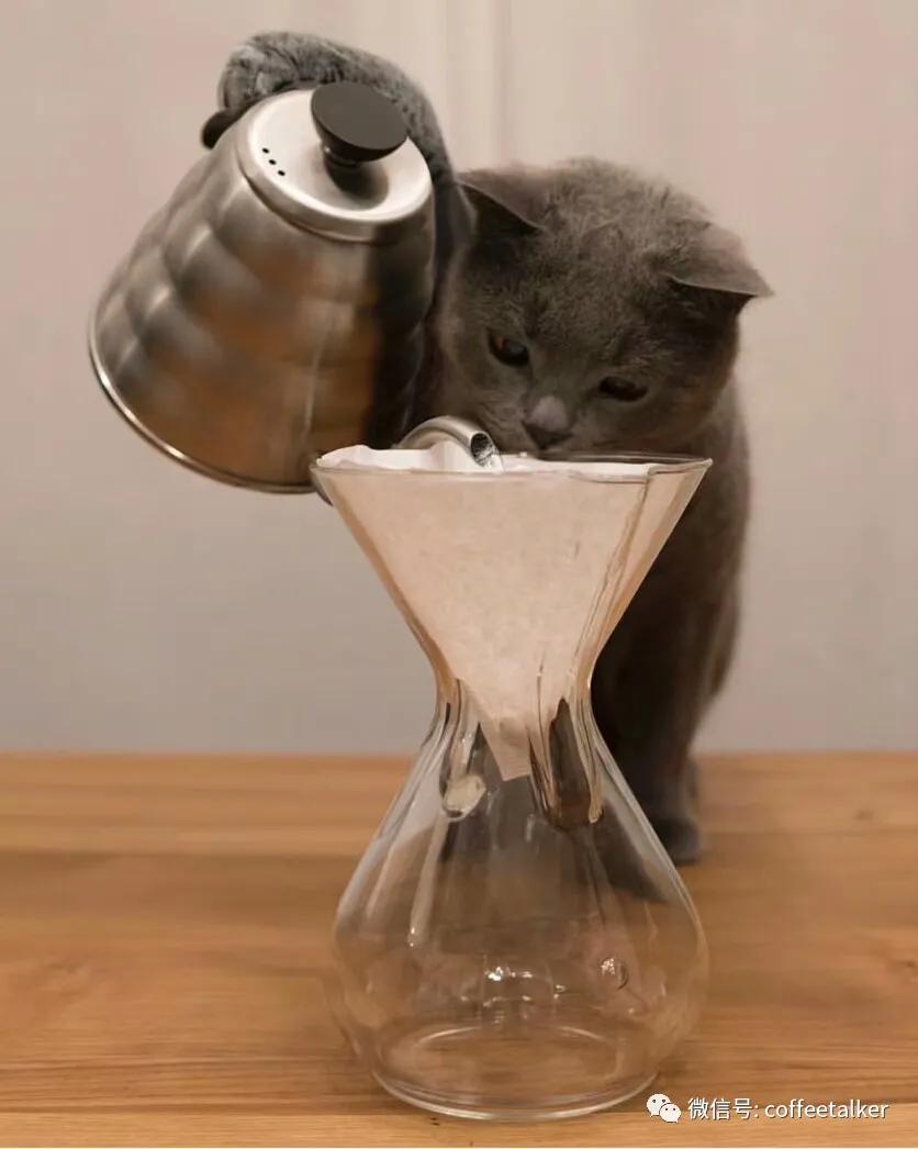 手冲咖啡20g冲水比例多少,一杯手冲咖啡的咖啡含量是多少