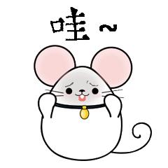 最强胆拖喜中3000万,胆拖最容易中的玩法