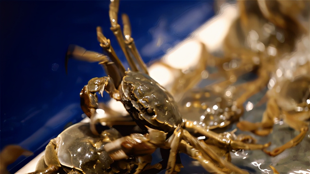 苏州阳澄湖大闸蟹哪里比较正宗,阳澄湖大闸蟹和阳澄湖的大闸蟹