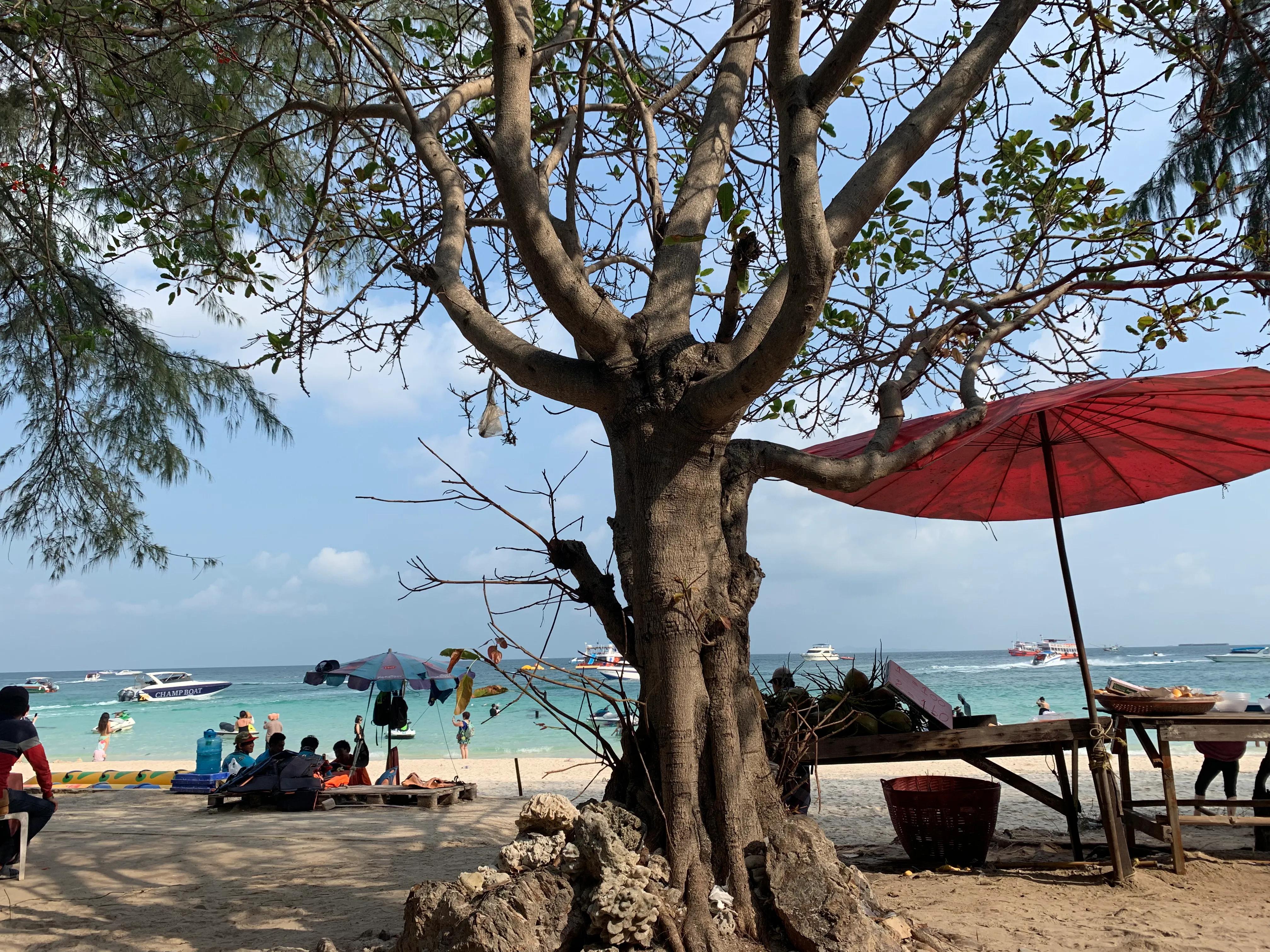 大海泰国游记最新视频,泰国清迈游记视频