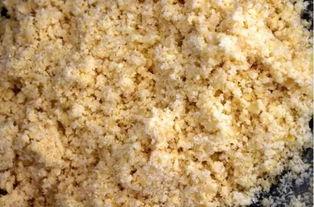 初春钓鲢鳙的4个诀窍,10月钓鲢鳙的方法和技巧