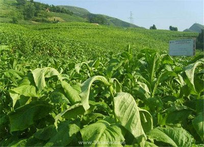 那些被名字耽误的冷门专业,哪些被人忽略的冷门专业就业好