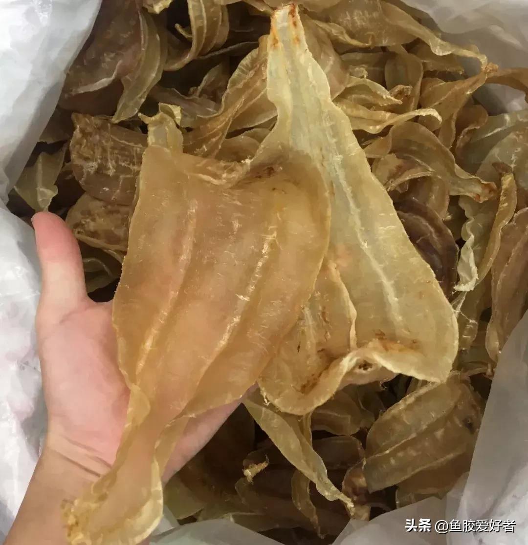 十大鱼胶排行,十大鱼胶品牌