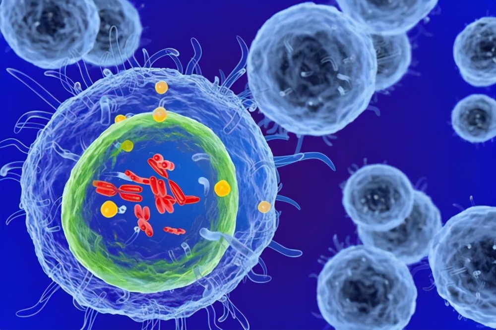 中国企业联合会执行副会长李明星一行参观安美生物