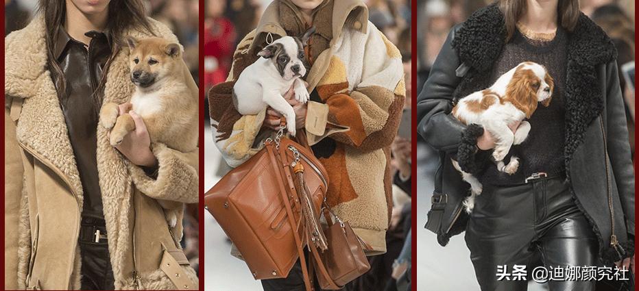 买衣服不会看吊牌，迪娜教你哦