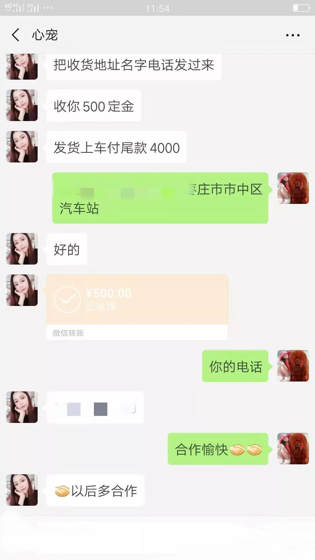 大骗纸！朋友圈买宠物，结果遭遇“汪财两空”