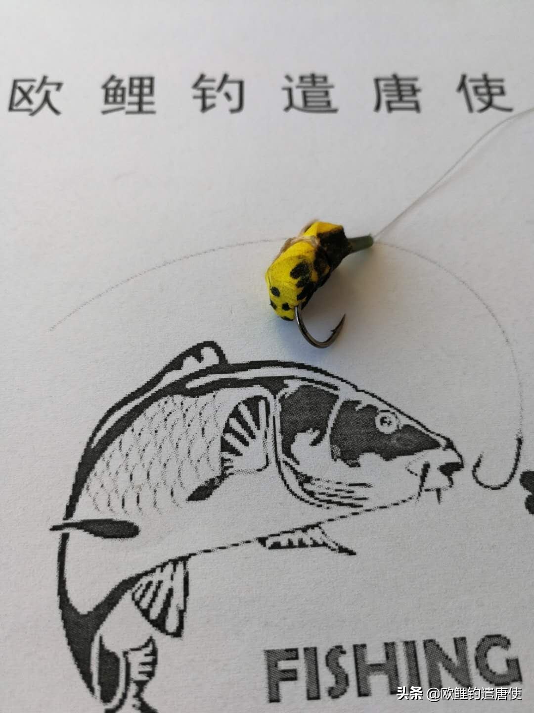 欧鲤钓组单柄鱼钩绑法,欧鲤钓组挂浮珠还是挂玉米