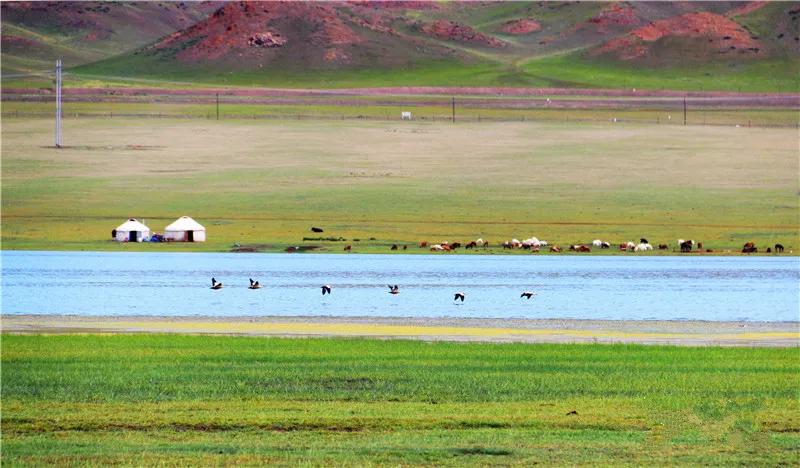 塔城市凉快的公园,塔城地区避暑的地方