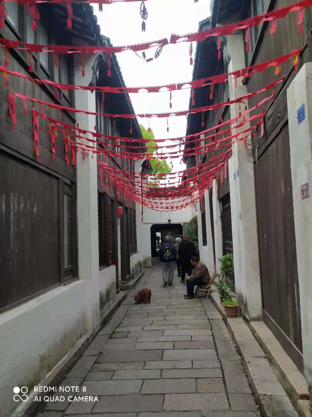 江南黎里古镇照片,寻找最美江南之黎里古镇