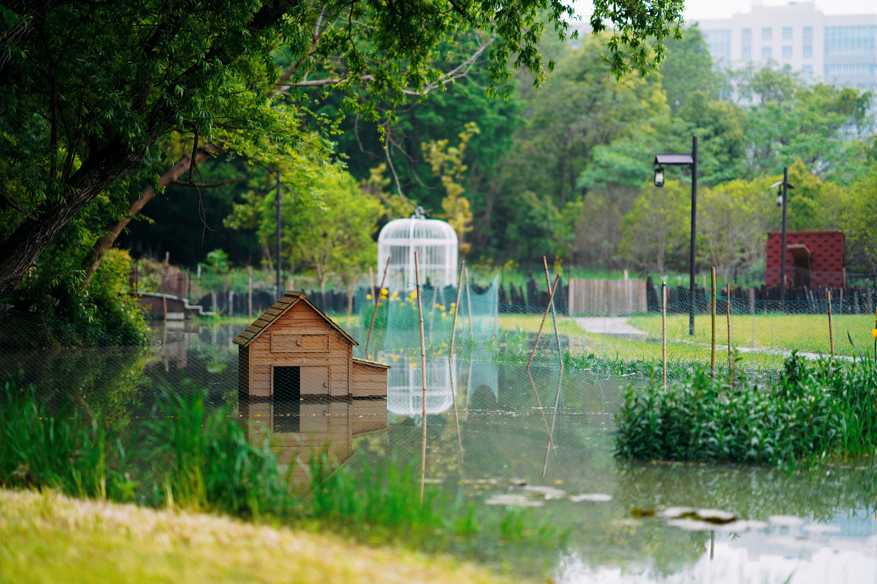送你一份最地道的苏州逛吃攻略,苏州便宜又好看的民宿推荐