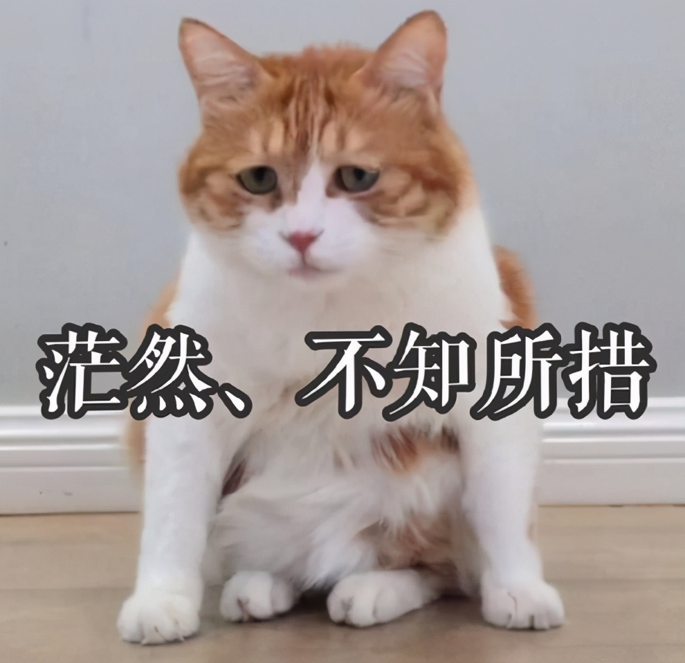 德州市驾驶证期满换证在哪里办理,驾驶证期满换证南宁哪里可以办理