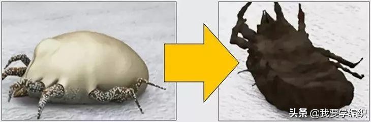 去除被子异味最基本最简单的方法,被子太久没晒有味道怎么办