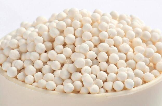 世界上淀粉最高的树,砍上一棵半年不用买米,最适合吃软饭的人