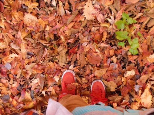 谁还不是个宝宝绘本解读,谁还不是个宝宝呢用日语怎么说