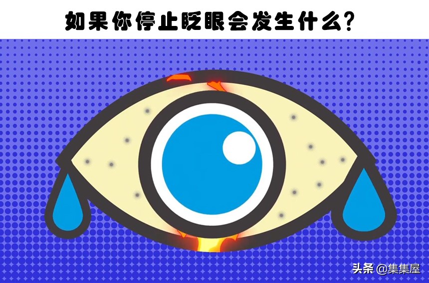 如果我们一直不眨眼会怎么样,如果我们连续一年只吃素会怎样