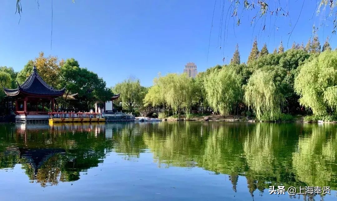 奉贤五一游玩打卡的地方,奉贤休闲度假游玩攻略