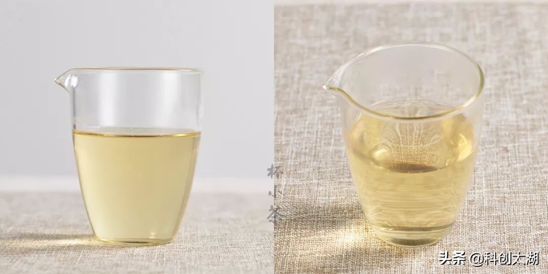 用多少度的茶泡茶最好喝,蒲公英根茶与什么泡茶最好