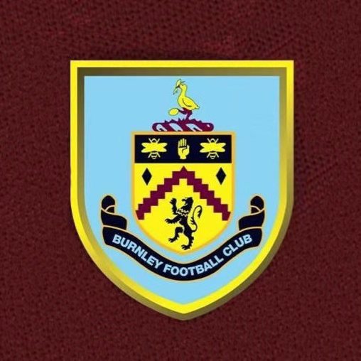 英超球队的绰号,英超绰号喜鹊的球队