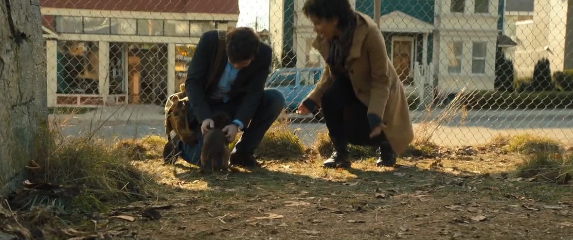 电影故事:一条小狗穿越四百英里回家的故事