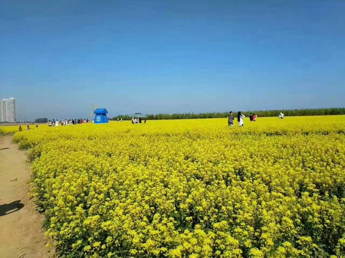 南戴河端午旅游攻略,端午出行海边攻略