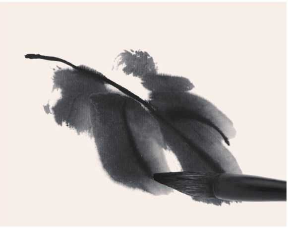 国画牡丹叶子的画法一窍不通,如何画牡丹花叶子和枝干国画视频