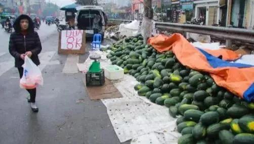 龙虾没人吃、奢侈品没人买、蒙娜丽莎没人看,全世界等中国人出门消费!