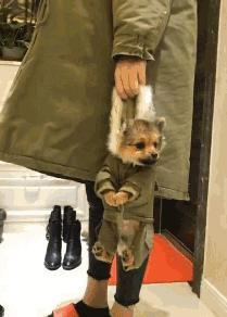 搞笑GIF动图:小姐姐,你体验木乃伊的制作过程,能坚持几分钟